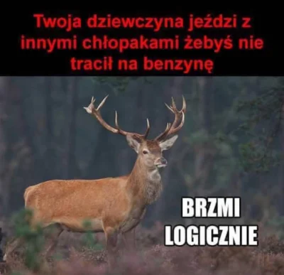 Mescuda - #logikaniebieskichpaskow #truestory #zwiazki #humorobrazkowy