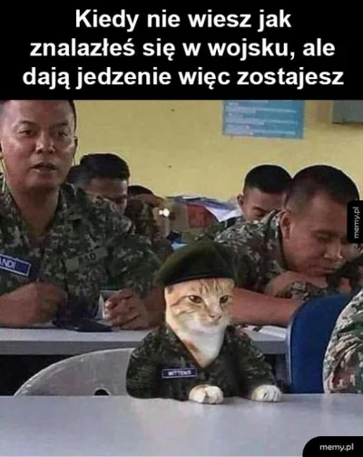 Symeon13 - #heheszki #humorobrazkowy #koty #wojsko