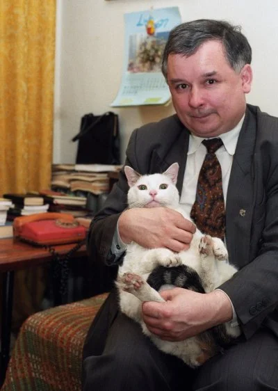 Skorvez957 - Młody kawaler do wzięcia z willą i kotem.
#bekazpisu #kaczynski #zoofil...