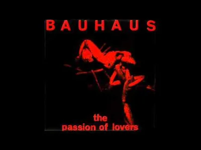 RobieInteres - #muzyka #postpunk #gothicrock #80s

Bauhaus - The Passion of Lovers