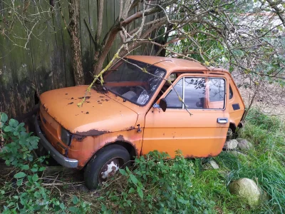 leninek - #wrosty #maluch #fiat126p #motoryzacja #carspotting