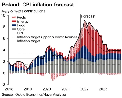 RafiRK - Analitycy bankowi szacują inflację średnioroczną na ~7-9%.