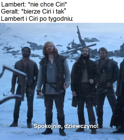 Yarknin - #heheszki #humorobrazkowy #wiedzmin #netflix #witcher