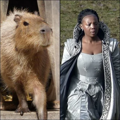 BoskiPrototyp - #wiedzmin piękna pani kapibara czarodziejka z twarzą przerośniętego g...