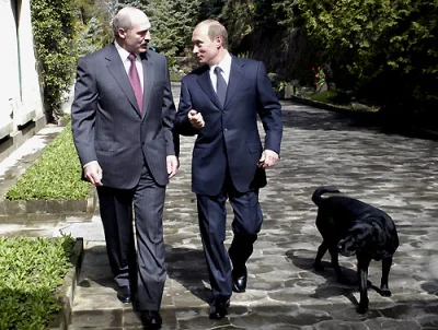 BapitanKomba - @holymotherearth: Łap zdjęcie, na którym Władimir Putin wyprowadza na ...