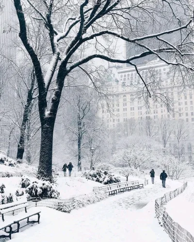 Borealny - Zima w Nowym Jorku
#earthporn #fotografia #zima #usa #nowyjork #newyork