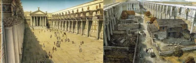wjtk123 - Forum Nerwy za czasów świetności Imperium Rzymskiego, w porównaniu do przyb...