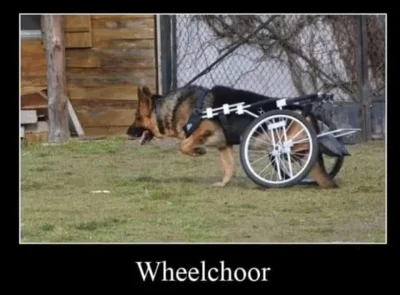 waldi2723 - @Patres: Wheelchoor