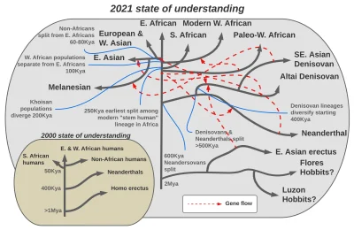 AtlasZbuntowany - Wykres obrazujacy wzrost wiedzy na temat ewolucji ludzi.

Wschodn...