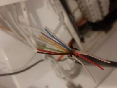 zioomek - Mam pytanie czy przez taki kabel jest mozliwe puszczenie internetu? #elektr...
