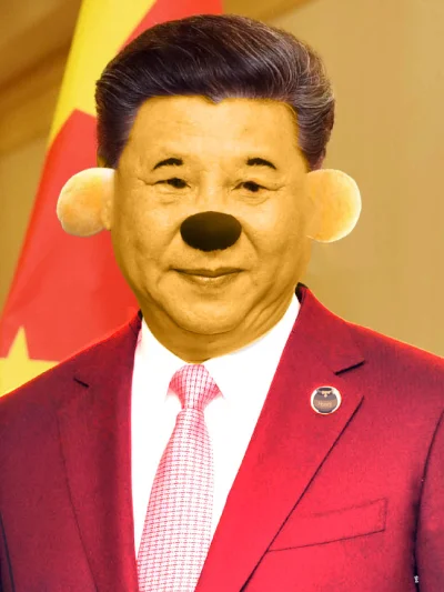 Podroznik_Swiat - Prezydent Chin Xi Jinping. Zdjęcia prezydenta Xi Jinping. Agencja X...