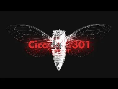 wiedzmikolaj - Ciekawe czy projekt Cicada 3301 w rzeczywistości był poszukiwaniem spe...