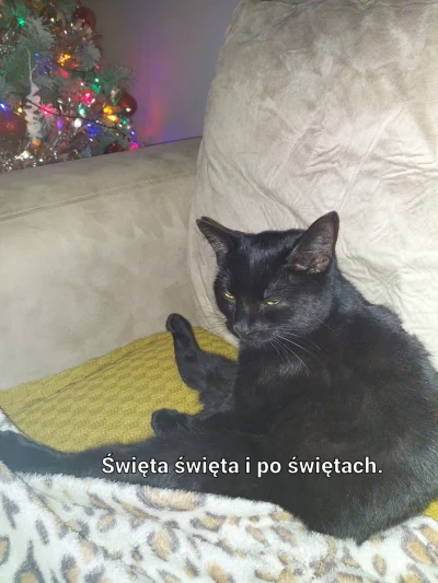 agiller - Już jutro wieczorem...

#swieta #takaprawda #heheszki #smiesznekotki