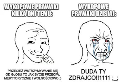 Khaine - #polityka #bekazprawakow #bekazpisu #bekazkonfederacji #neuropa

XD