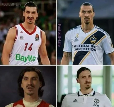 biesy - Bośniacki koszykarz Nihad Dedović został kiedyś zapytany o swoje podobieństwo...