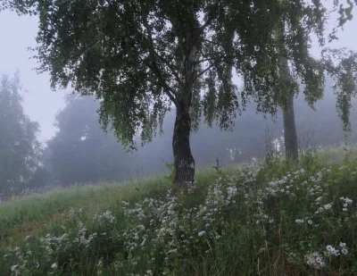 f4wn - (praktycznie) Daily reminder, że nie wszyscy Wami gardzą, a świat jest bardzie...