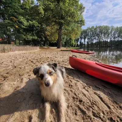 SkuratakprzezU - @dos_badass: no to tutaj foto jak dopłynął kajakiem do EU :D