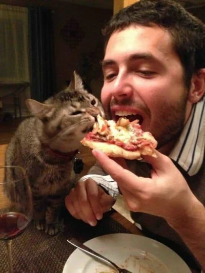 Louisiana - jestem kotem, który patrząc na to je pizzę 
00:00