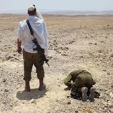 s.....s - @LazyInitializationException: W ogóle polecam serial izraelski "Valley of T...