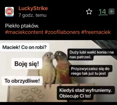 h.....r - @LuckyStrike: Ku pamięci