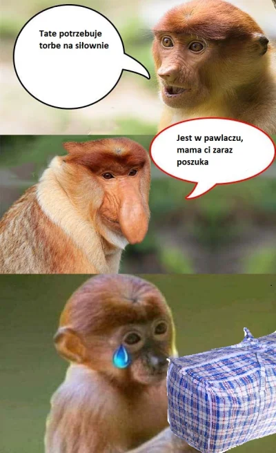 robertoskit - #heheszki #humorobrazkowy #nosaczsundajski
#nosacz #polak 
#konkursna...