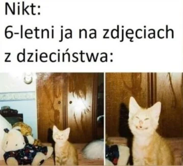 chosenon3 - #truestory #starezdjecia #heheszki #humorobrazkowy #smiesznekotki