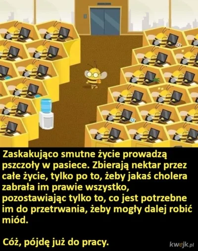 Qtasus2Wielgus - Już wkrótce, powrót do wieku XIX, urodzić się po to żeby pracować i ...