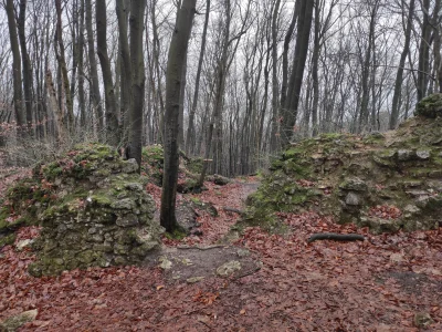 pol-scot - Sylwester na zamku Ostrężnik 
#urlop #podrozujzwykopem