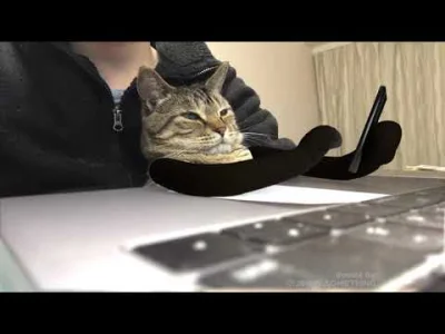 starnak - @JakubWedrowycz: Cat working from home