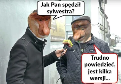 Kapitan_Marchewa - #sylwesterzwykopem #nosaczsundajski #humorobrazkowy

Najważniejsze...