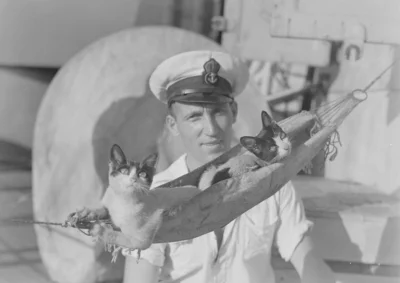 myrmekochoria - HMAS Nizam, 1941.