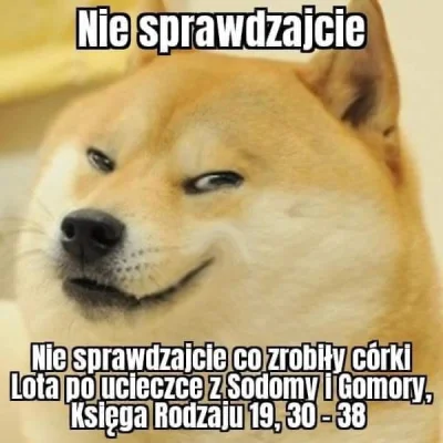 kacper3355 - #heheszki #piesposting #humorobrazkowy #biblia #religia #doge #cheems