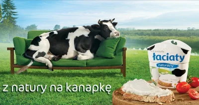 M.....0 - @ilem: Jak nie-weganie myślą że żyje krowa hodowana na mleko #heheszki