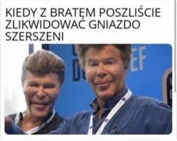 fic - To była wina Szerszeni