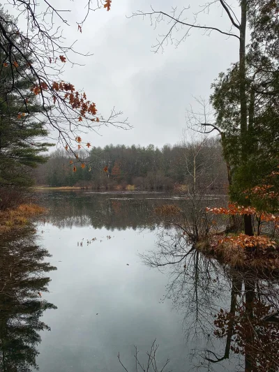 R2D2zSosnowca - West Rock Ridge State Park #connecticut +13C

#r2d2zwiedza #natura #u...