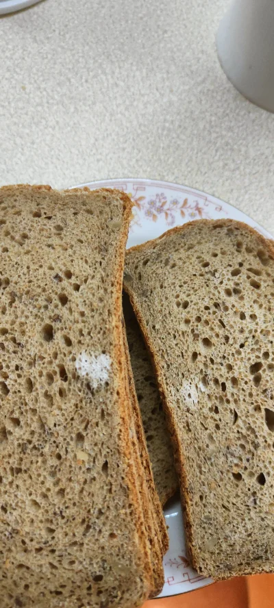 Harry_Callahan - Pleśń? Ten chleb był zamrożony.

#kiciochpyta #pytaniedoeksperta #ch...