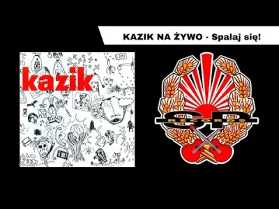 CulturalEnrichmentIsNotNice - Kazik na Żywo - Spalaj się! 
#muzyka #rock #punk #pols...