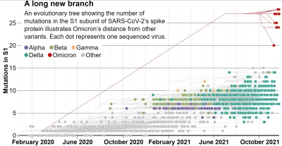 apo - https://www.science.org/content/article/where-did-weird-omicron-come