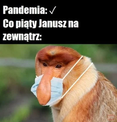 Own3d_23 - #polska #polacy #nosacz #januszalfa