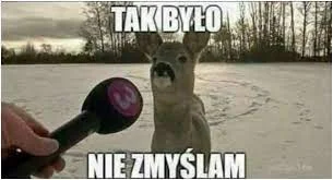 Taranov - @maximilianan: lewak w formie xD jedno dziwne konto? najazd trolli