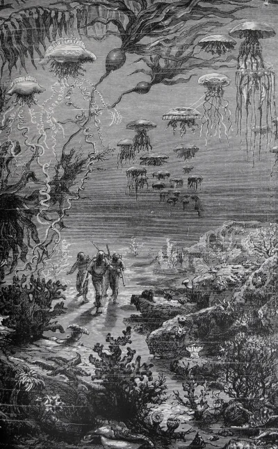 myrmekochoria - Spacer pod wodą ilustracja do Dwudziestu tysięcy mil podmorskiej żegl...