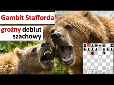 szachmistrz - SZACHY 411# Gambit Stafforda, groźny debiut szachowy w obronie rosyjski...