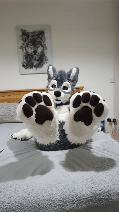 Wulfi - #furry #fursuit #furpaw