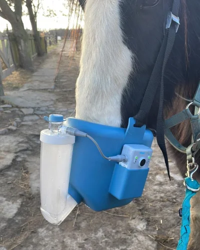 antros - Koń astmatyk :/

#ciekawostkiantrosa #ciekawostki #konie źródło