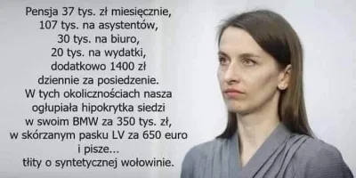 BezDobry - Pamiętajcie, ekologia, wolne sądy, konstytucja i wartości europejskie są n...