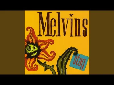 Seiji - #muzyka #melvins