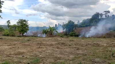 pelt - Miszcz Misza filozofuje o ekologicznym zarządzaniu odpadami na plantacji awoka...