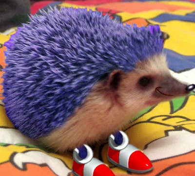 hedgehogowy - @ayyy_lmao: O tak, bardzo się wczuwa grając w Sonica