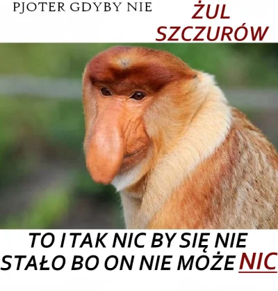 Ankieciarz - #konkursnanajbardziejgownianymemznosaczem #sztukadlasprawiedliwych