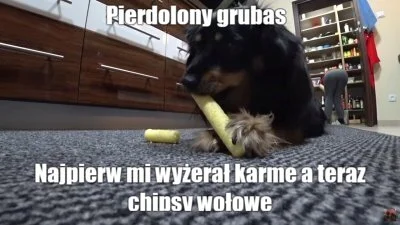 WINIzMiedzianejGory - ! > Czipsy wołowe! O, wkońcu coś dla.. Cytryny( ͡° ͜ʖ ͡°)( ͡° ͜...